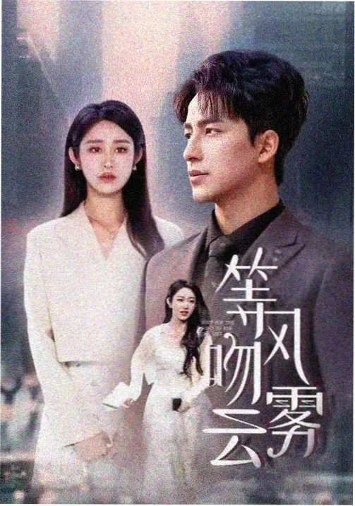 沉默的证词 悬疑剧在线看